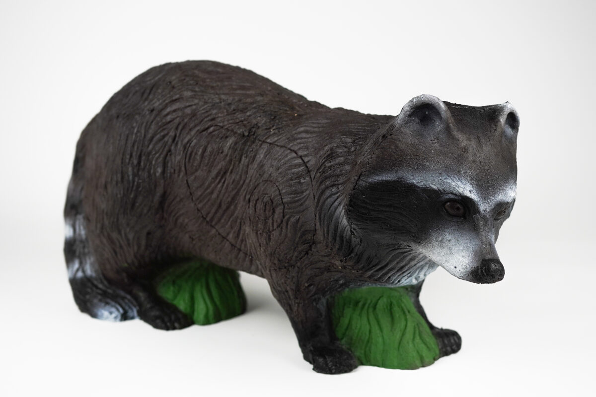 Waschbär
