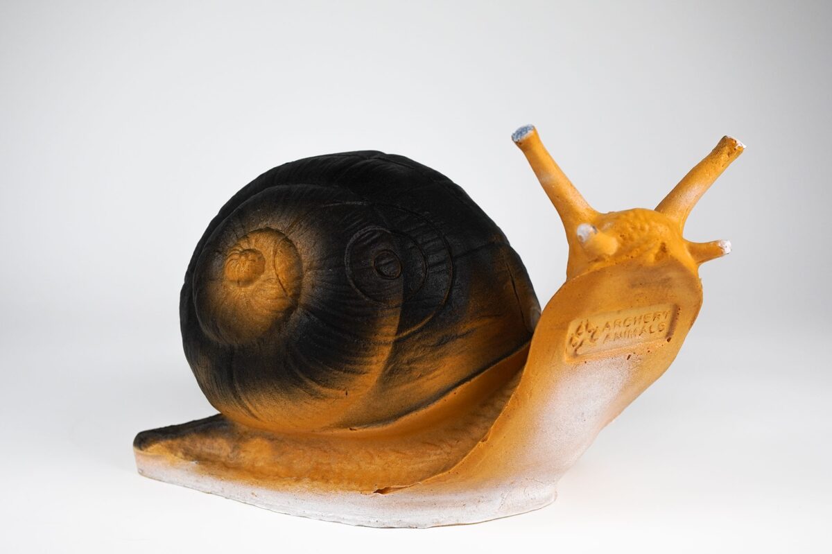 Schnecke