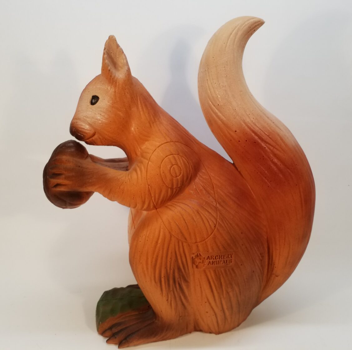 Eichhörnchen