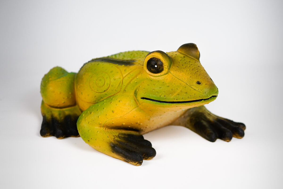 Frosch
