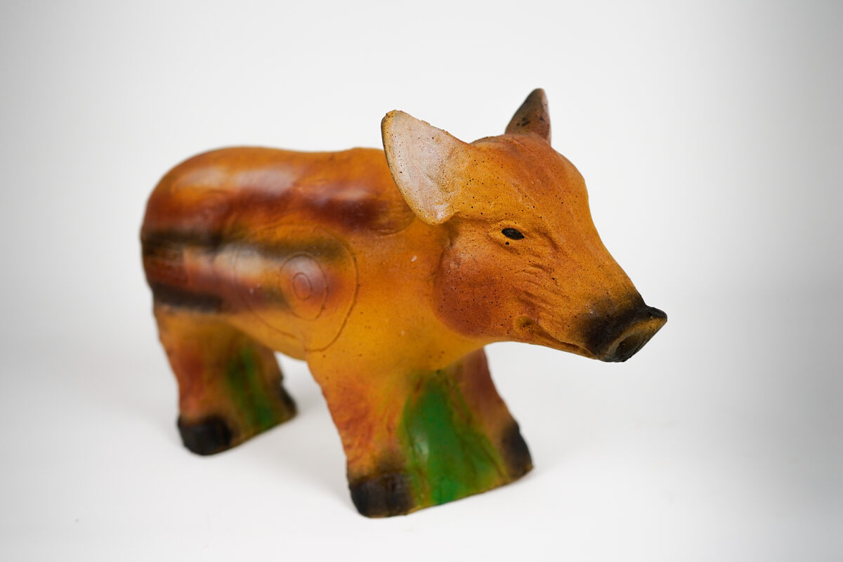 Ferkel / Frischling