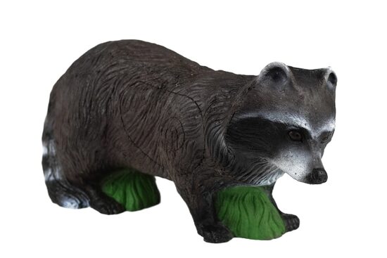 Raccoon