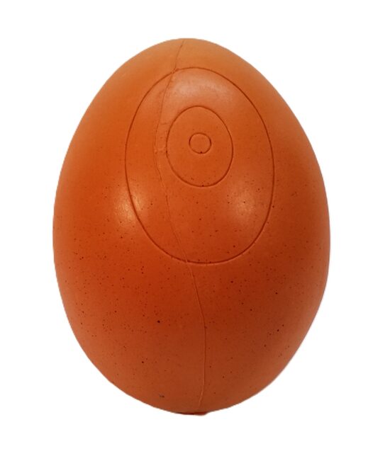 Egg