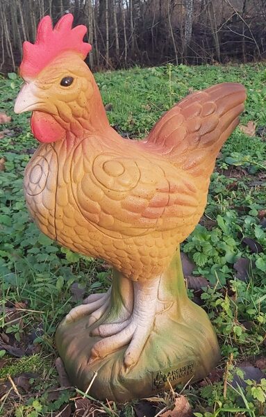 Hen